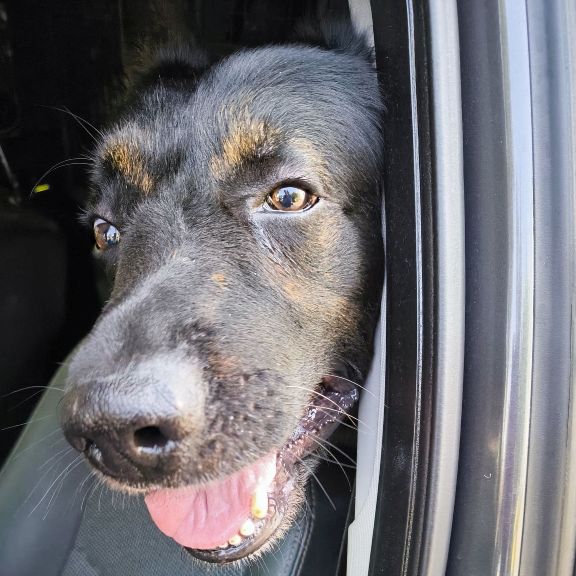 Masterpro Nivo Slider 3.x